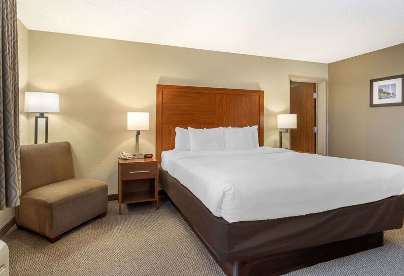 فندق Comfort Inn & Suites Airport Convention Center