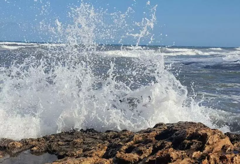 호텔 Central Torrevieja