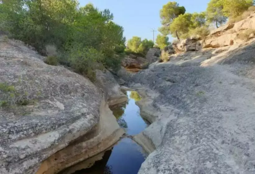 호텔 Central Torrevieja