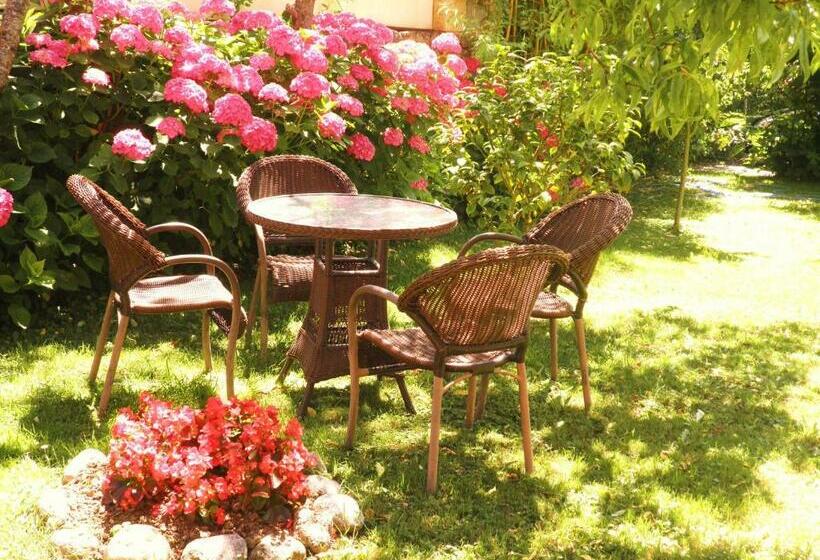 فندق ريفى Posada Laura