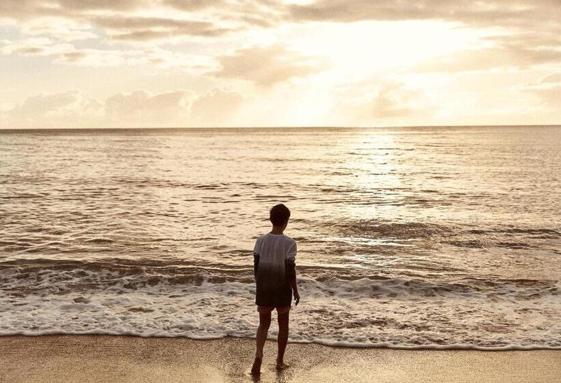 酒店 Sea Change Beachfront Apartments