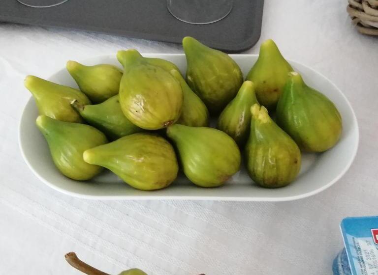 B&b Il Poggio Eccelso