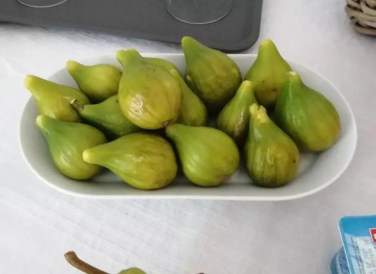 B&b Il Poggio Eccelso