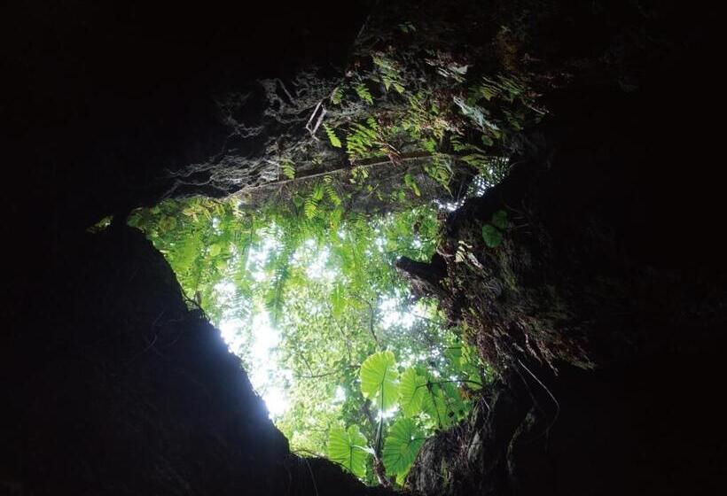 Amawari Hotel  Seven Hotels And Resorts