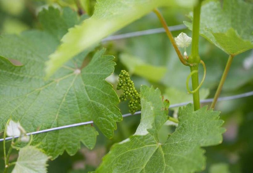 민박 The Setting Inn Willamette Valley