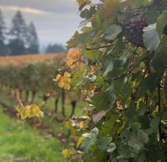 민박 The Setting Inn Willamette Valley