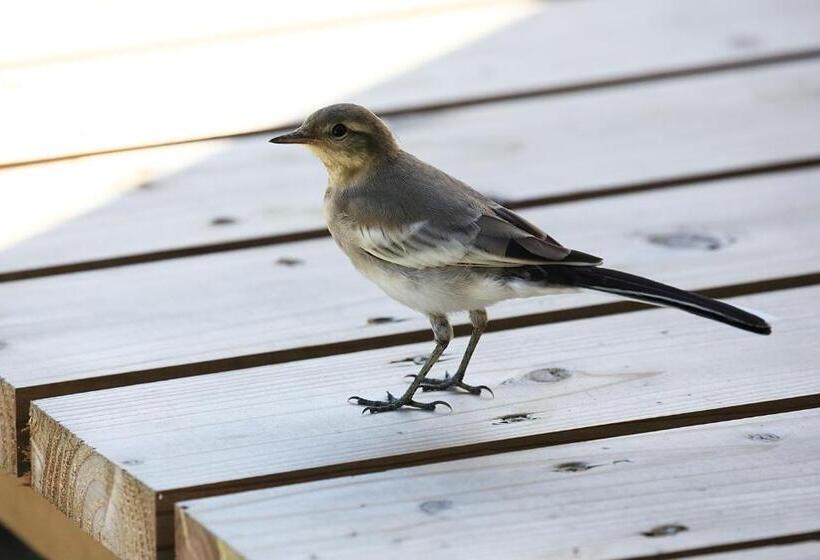 펜션 ささやかな宿富津