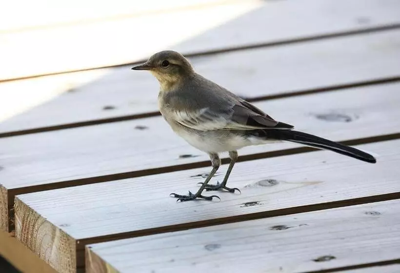ペンション ささやかな宿富津