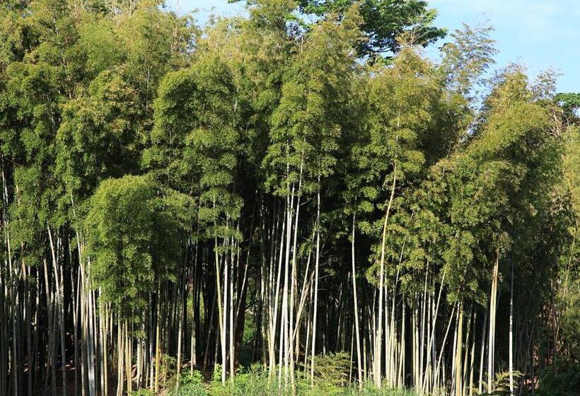 펜션 ささやかな宿富津