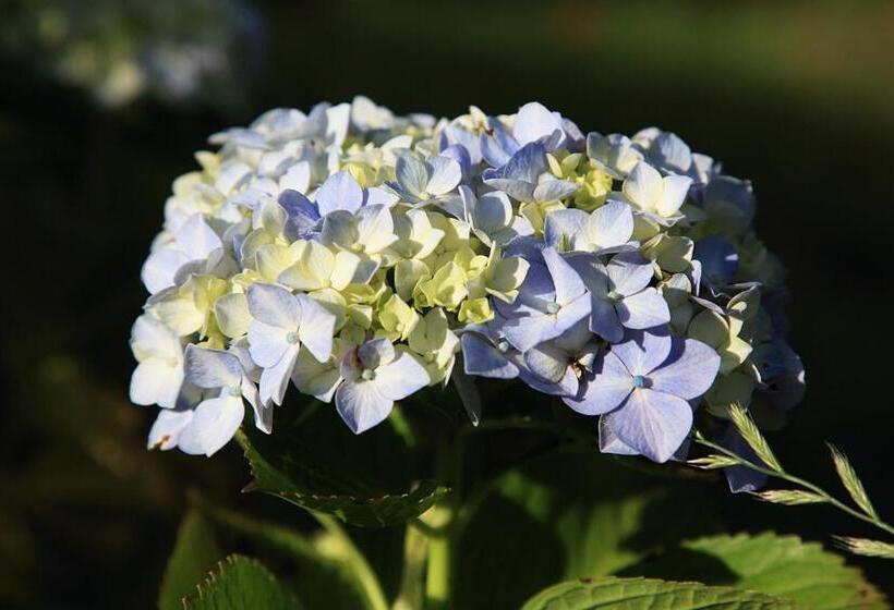 펜션 ささやかな宿富津