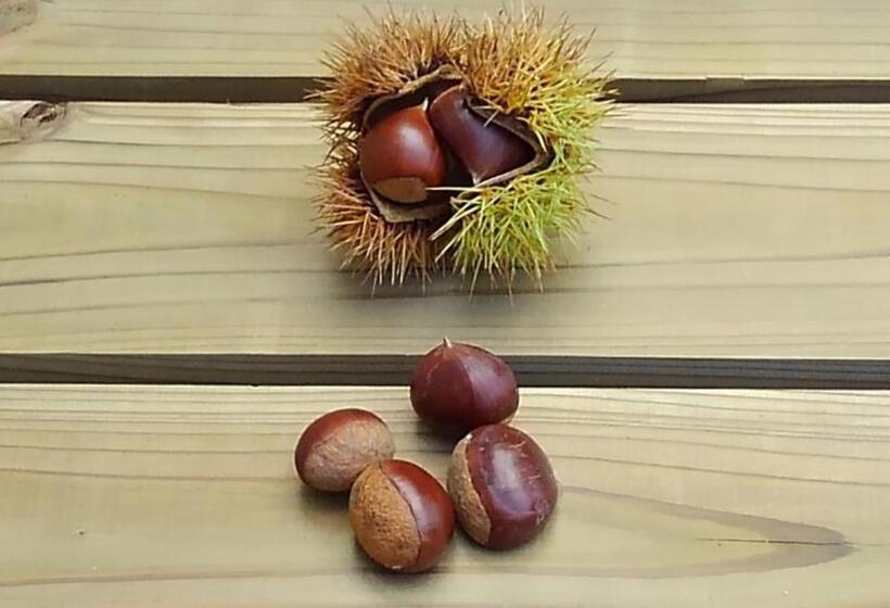 펜션 ささやかな宿富津