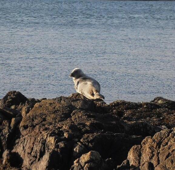 Bed and Breakfast Burnside Lodge