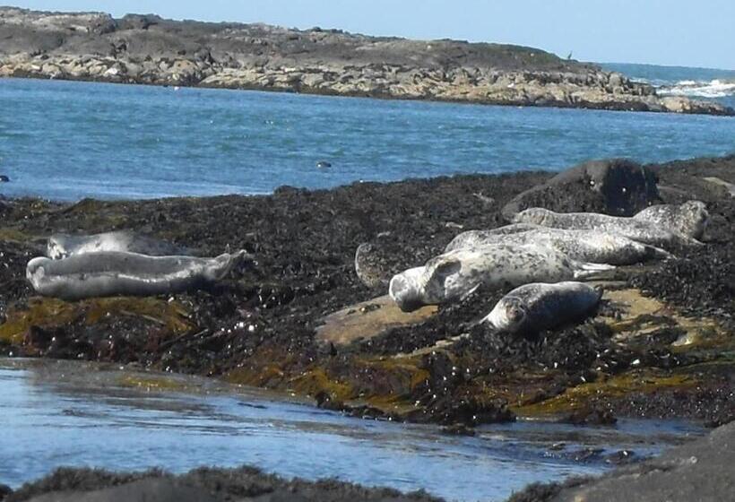 Bed and Breakfast Burnside Lodge