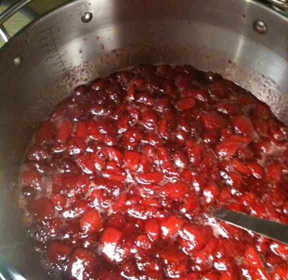 Bed and Breakfast Burnside Lodge