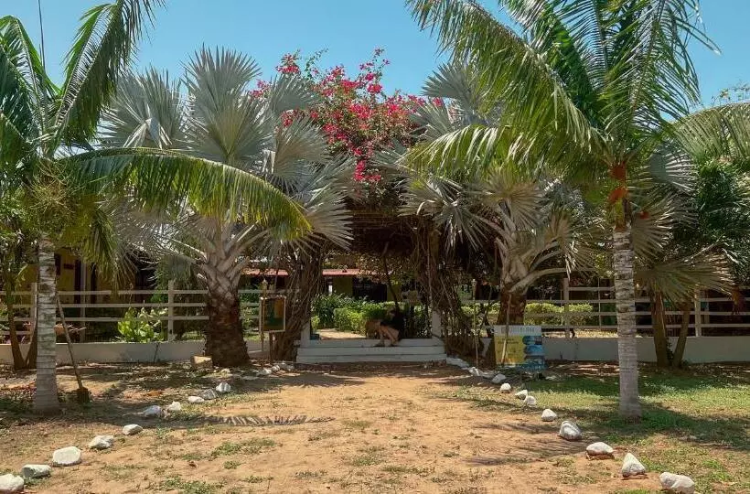 ホテル Coccoloba Beach Hostel