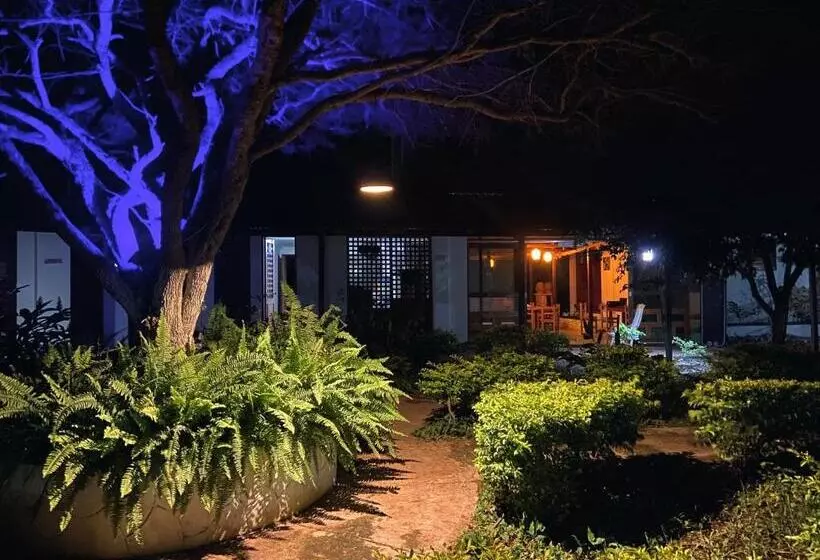 ホテル Coccoloba Beach Hostel