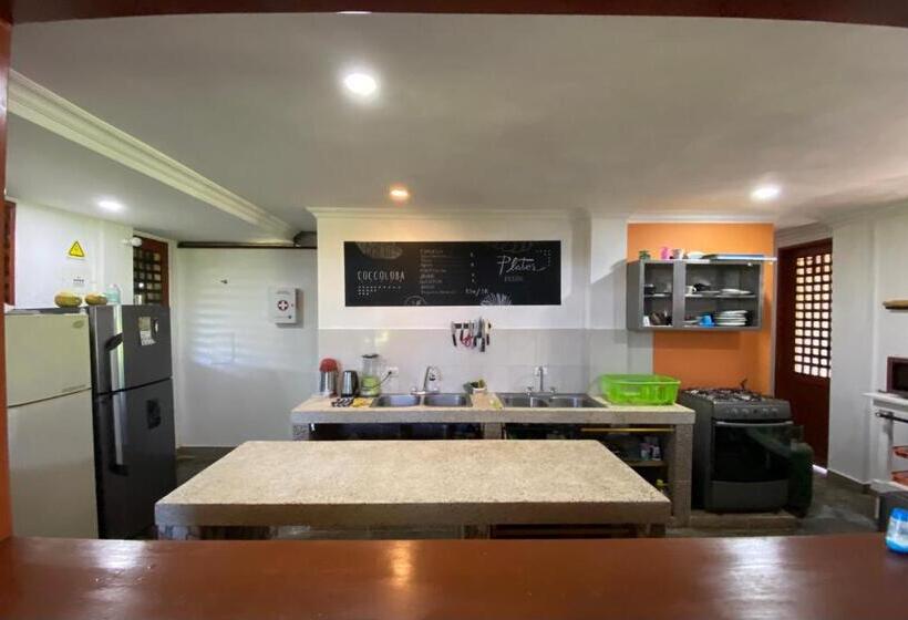 هتل Coccoloba Beach Hostel