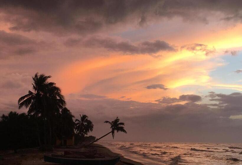 هتل Coccoloba Beach Hostel