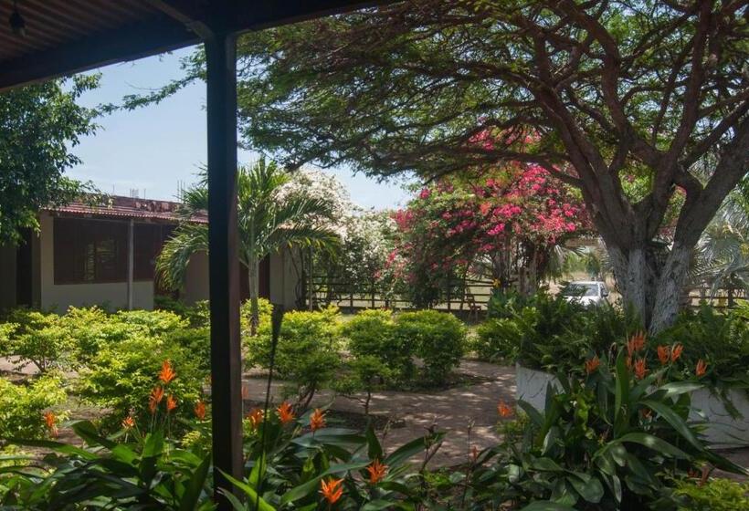 هتل Coccoloba Beach Hostel