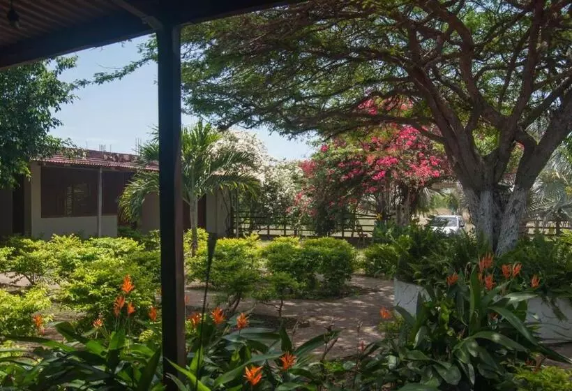 ホテル Coccoloba Beach Hostel