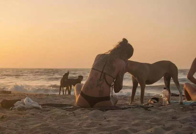 ホテル Coccoloba Beach Hostel