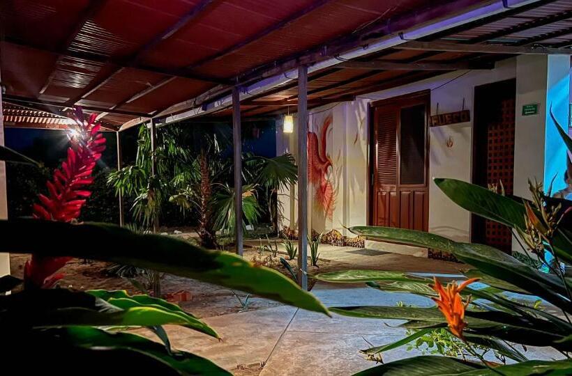 هتل Coccoloba Beach Hostel