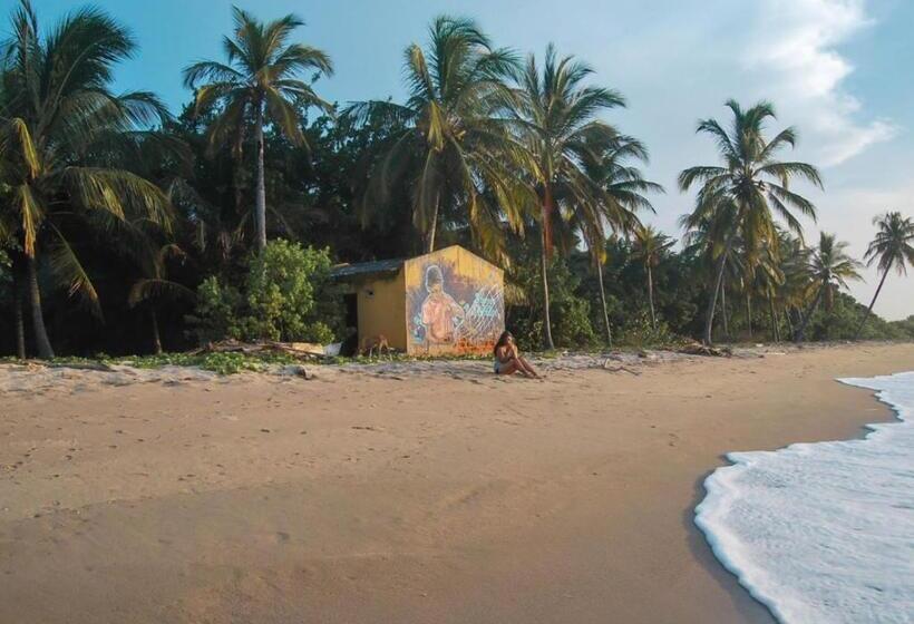 هتل Coccoloba Beach Hostel