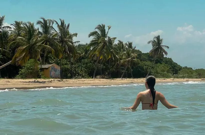 ホテル Coccoloba Beach Hostel