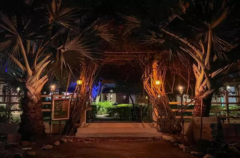 ホテル Coccoloba Beach Hostel