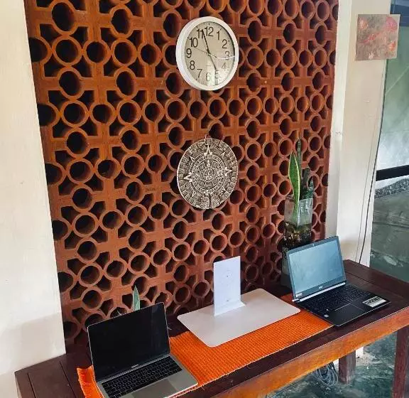 ホテル Coccoloba Beach Hostel