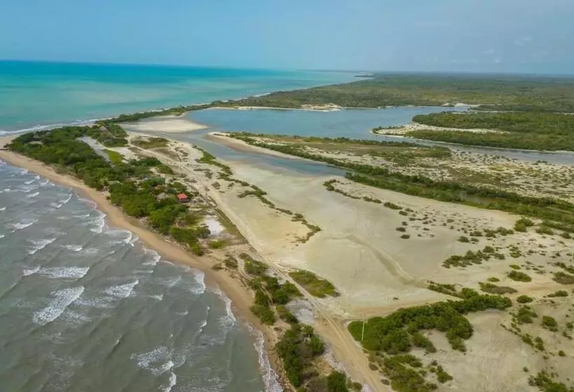 ホテル Coccoloba Beach Hostel