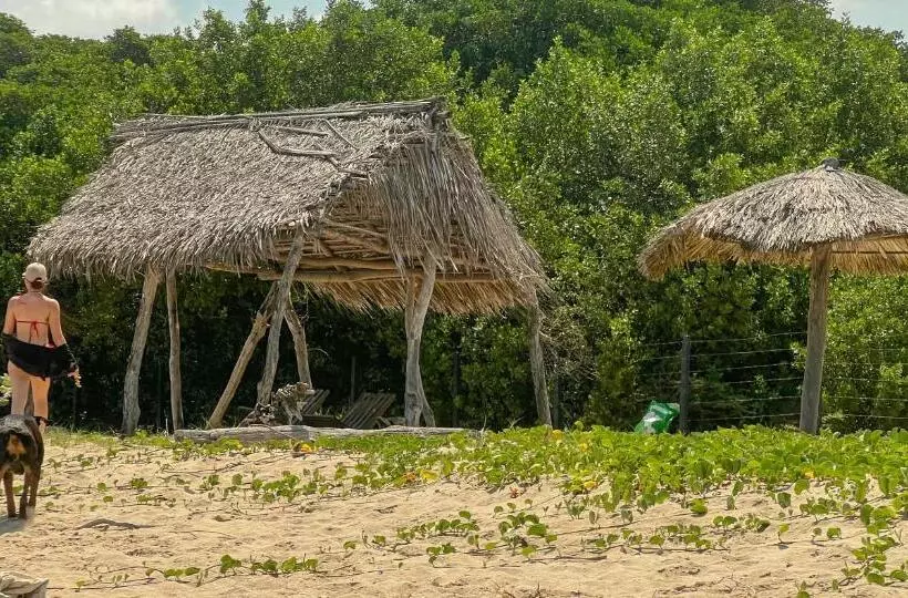 ホテル Coccoloba Beach Hostel