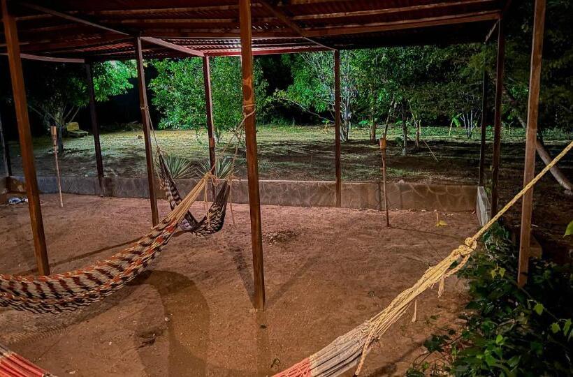 هتل Coccoloba Beach Hostel