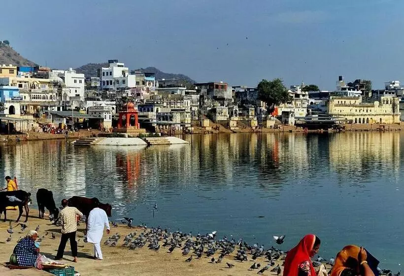 Hôtel Divine Palace Pushkar