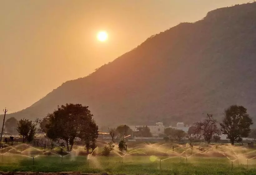 Hôtel Divine Palace Pushkar