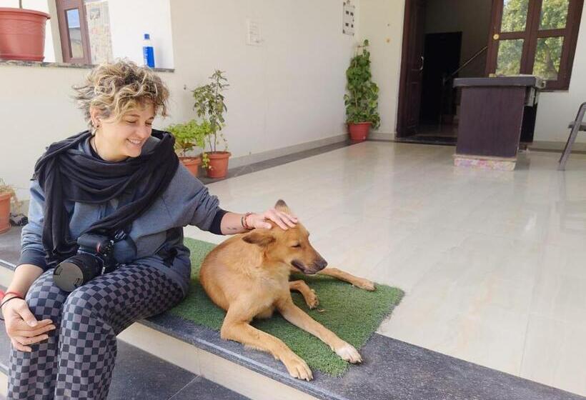 Hotel Divine Palace Pushkar