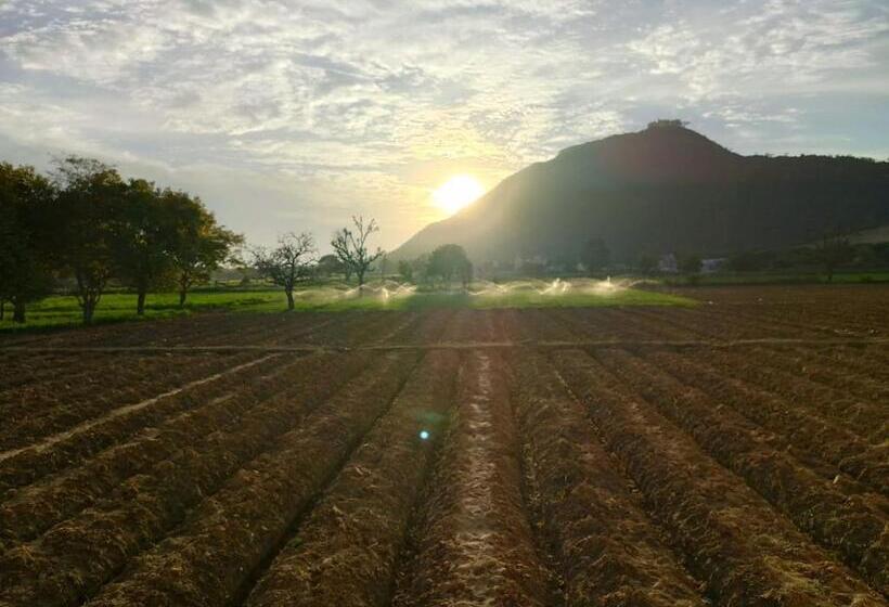 Hotel Divine Palace Pushkar
