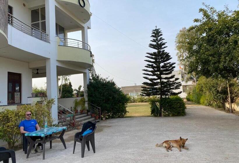 Hotel Divine Palace Pushkar