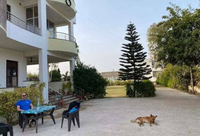 Hôtel Divine Palace Pushkar