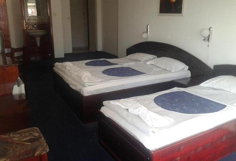 בית מלון כפרי семеен хотел елена палас