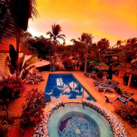 Szálloda Ito Swiss Oasis   Playa Zicatela   Adults Only