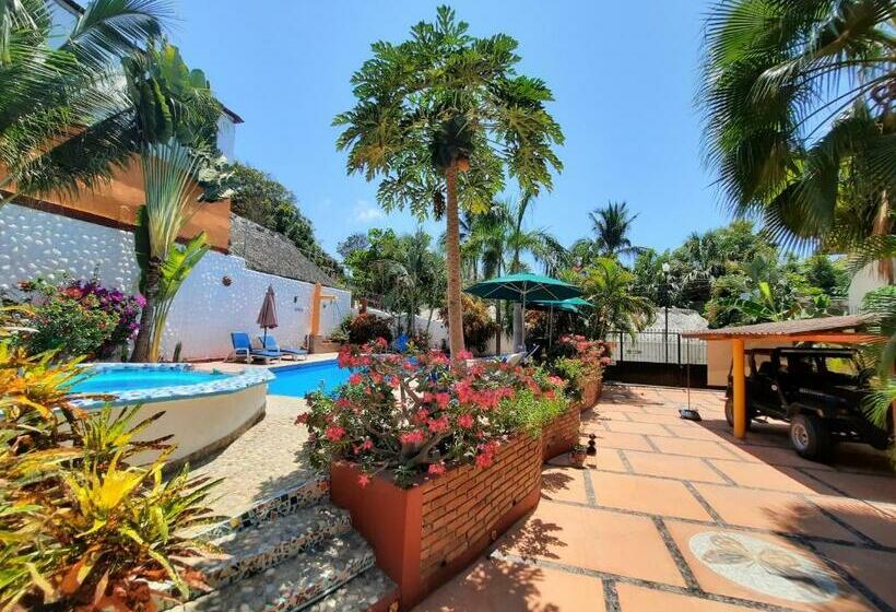 Szálloda Ito Swiss Oasis   Playa Zicatela   Adults Only