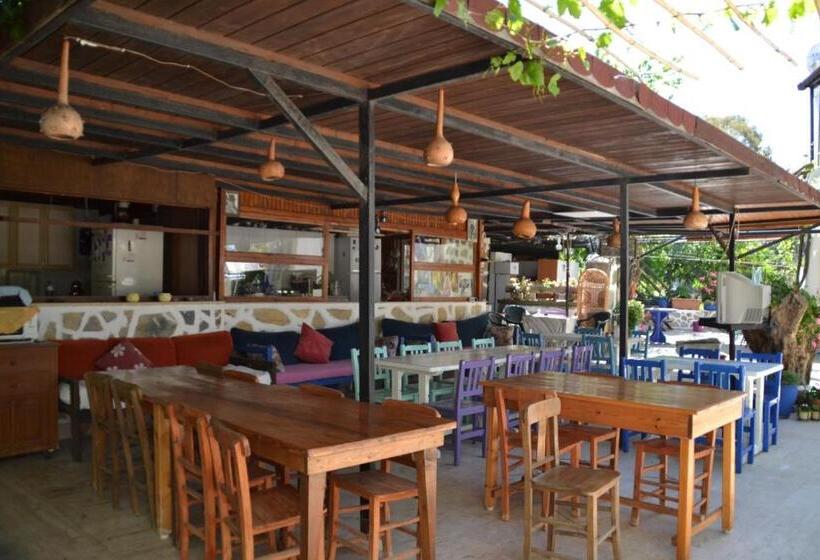 Paradise Gümüşlük