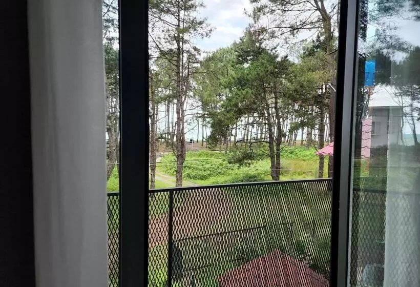 Majatalo Black Sea House Georgia