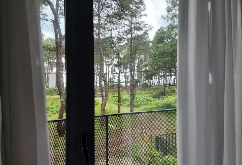 Majatalo Black Sea House Georgia