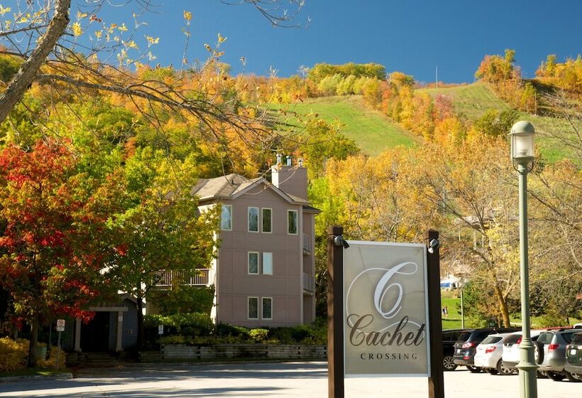 فندق Blue Mountain Resort Home Collection