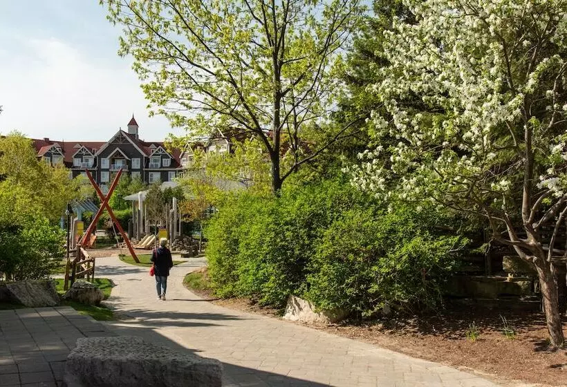 Hotelli Blue Mountain Resort Home Collection