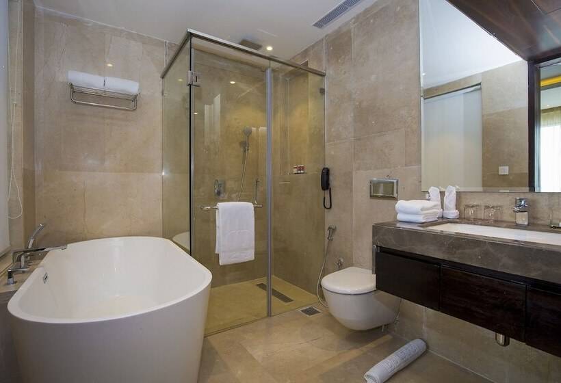 هتل Diyalo Lords  Plaza Birgunj