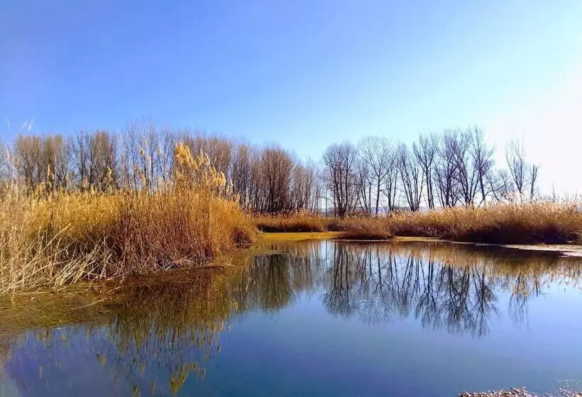 호텔 As Monreal Del Campo