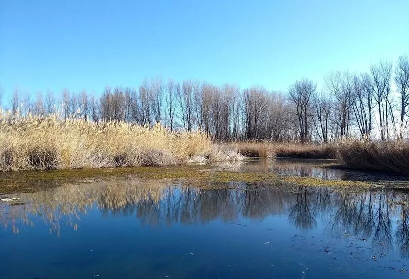 호텔 As Monreal Del Campo